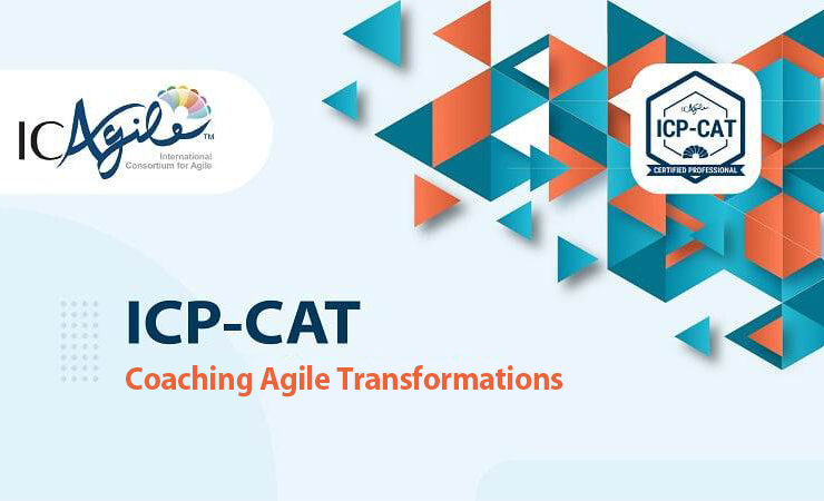 Coach Agile Transformations